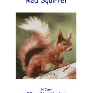 May include: Cross stitch chart pattern of a red squirrel sitting on a branch. The chart is 150 stitches wide by 165 stitches high, and measures 10-3/4 inches by 11-3/4 inches.