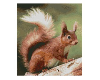 Cross Stitch Chart, Pattern, Squirrel, Red, Wildlife, Tufty