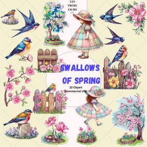 Aquarelle printemps oiseaux Clipart, Clipart oiseau sur clôture, oiseaux colorés PNG, Illustrations oiseaux de printemps, robe patchwork, clipart hirondelle