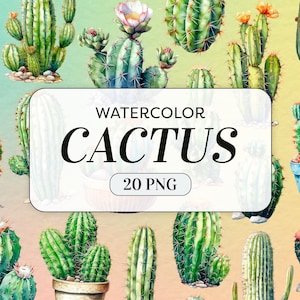 Acuarela Cactus Clipart - Cactus y Plantas PNG - Uso Comercial - Suculentas Imágenes Prediseñadas del Desierto - Ilustraciones de Cactus - Descarga Digital