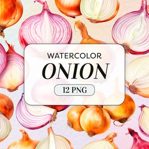 Watercolor Onion Clipart - Watercolor Vegetables PNG - Commercial Use - Bulb Onion Clipart - Onions Illustrations - Digital Download