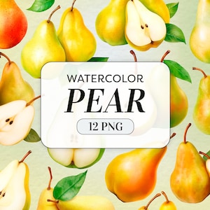 Clipart pera acquerello - Frutta ad acquerello PNG - Uso commerciale - Clipart di frutta pera dolce - Illustrazioni di pere - Download digitale