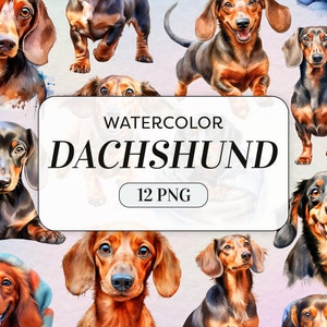Watercolor Dachshund Clipart - Doxie Dog PNG - Commercial Use - Cute Dog Clipart - Watercolor Puppy Images - Junk Journal - Digital Download