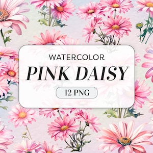 Acquerello rosa Daisy Clipart - Fiori dell'acquerello PNG - Uso commerciale - Bouquet di fiori della margherita - Arte floreale dell'acquerello - Download digitale