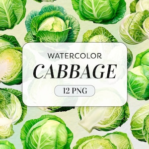 May include: Watercolor illustration of 12 green cabbages with white centers. The cabbages are arranged in a repeating pattern. The text "WATERCOLOR CABBAGE 12 PNG" is in the center of the image.