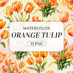 Aquarel oranje tulp clipart - aquarelbloemen - commercieel gebruik - tulp bloemboeket - aquarel bloemsierkunst - digitale download