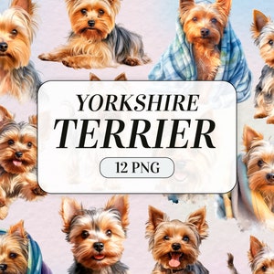 Yorkshire Terrier Clipart - Pet Dog Portrait - Commercial Use - Cute Dog Clipart - Watercolor Puppy Images - Junk Journal - Digital Download