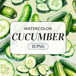 Acuarela Pepino Clipart - Acuarela Verduras Frutas - Uso Comercial - Pepinos Clipart - Ilustraciones de Pepino - Descarga Digital