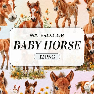 Aquarell Baby Pferd Clipart - süße Pferd PNG - kommerzielle Nutzung - Baby Bauernhof Tier Clipart - Baby Fohlen - Kinderzimmer Wandkunst - digitaler Download