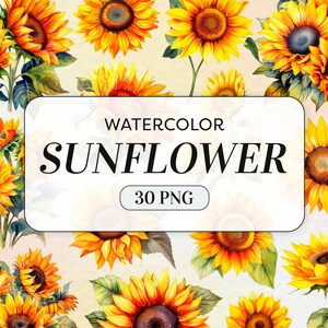 Clipart de girassóis em aquarela - Girassol em aquarela PNG - Uso comercial - Buquê de girassol - Arte floral em aquarela - Download digital