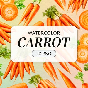 Aquarelle carotte clipart - aquarelle légumes PNG - usage commercial - carottes clipart - orange carotte illustrations - téléchargement numérique