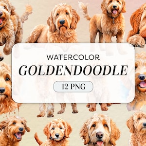 Clipart Goldendoodle - chien Groodle PNG - usage commercial - clipart chien mignon - images chiot aquarelle - journal indésirable - téléchargement numérique