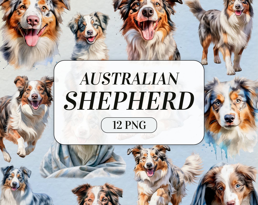 Australian Shepherd Clipart - Pet Dog PNG - Commercial Use - Cute Dog ...