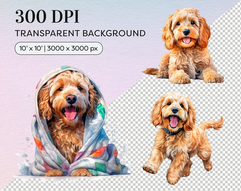 Watercolor Cockapoo Clipart - Pet Portrait PNG - Commercial Use - Cute ...