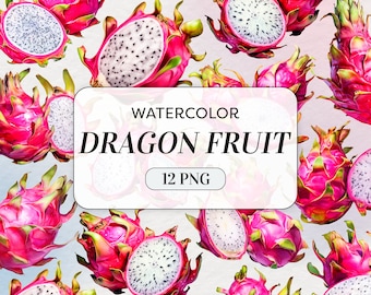 Watercolor Dragon Fruit Clipart - Watercolor Fruits PNG - Commercial Use - Pitaya Fruit Clipart - Pitahaya Illustrations - Instant Download