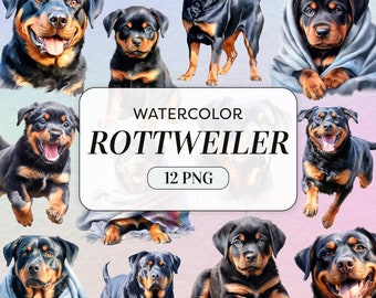 Watercolor Rottweiler Clipart - Pet Dog Portrait - Commercial Use - Cute Dog Clipart - Watercolor Puppy - Junk Journal - Instant Download
