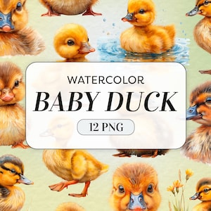 Aquarelle bébé canard Clipart - canard mignon PNG - usage commercial - bébés animaux Clipart - canetons - Art mural pour chambre d&#39;enfant - téléchargement numérique