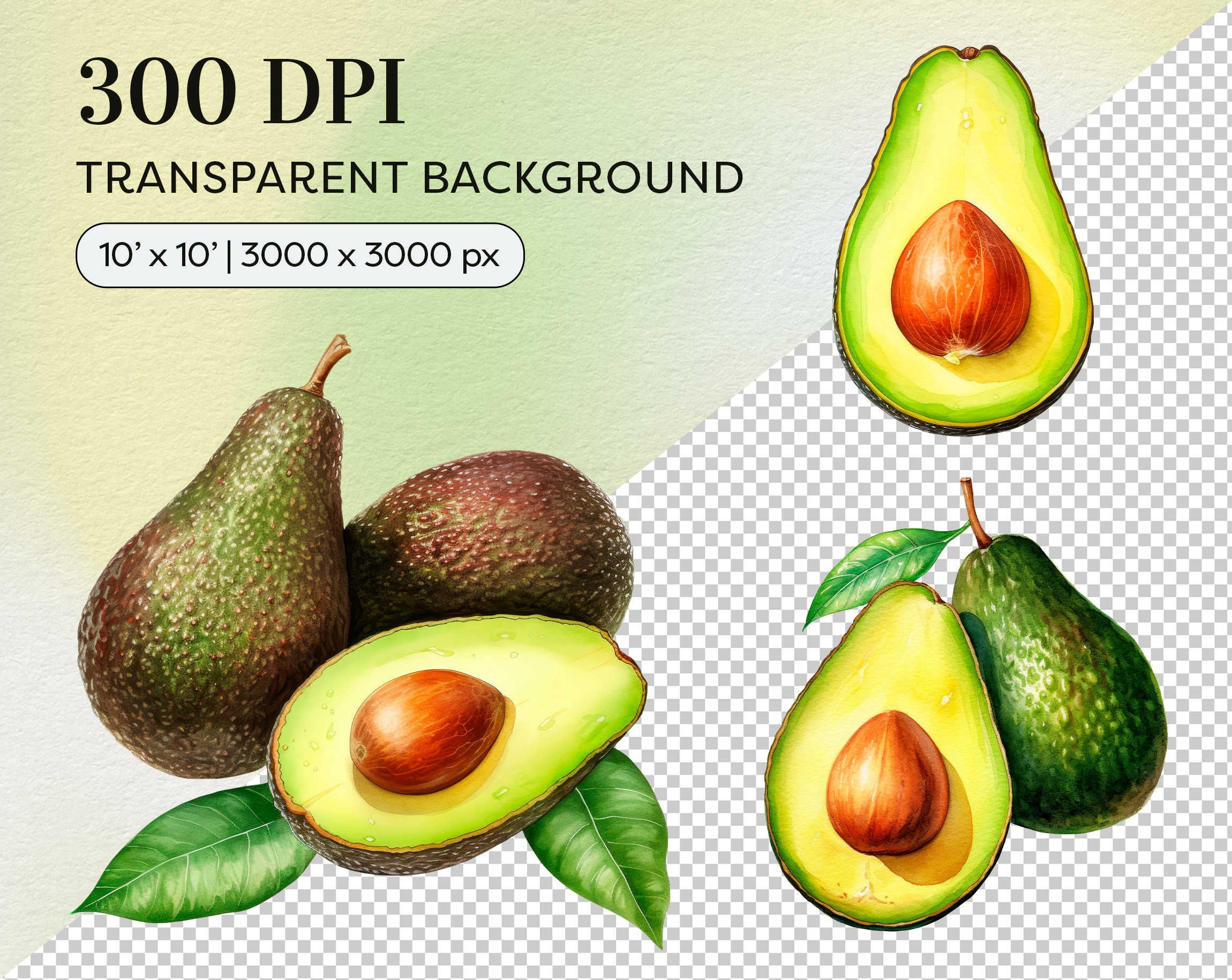 Watercolor Avocado Clipart Watercolor Fruits PNG Commercial Use Avocado ...