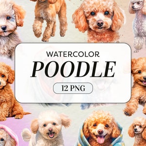 Clipart de poodle aquarela - Poodle miniatura - Uso comercial - Clipart de cachorro fofo - Imagens de cachorrinho em aquarela - Junk Journal - Download digital