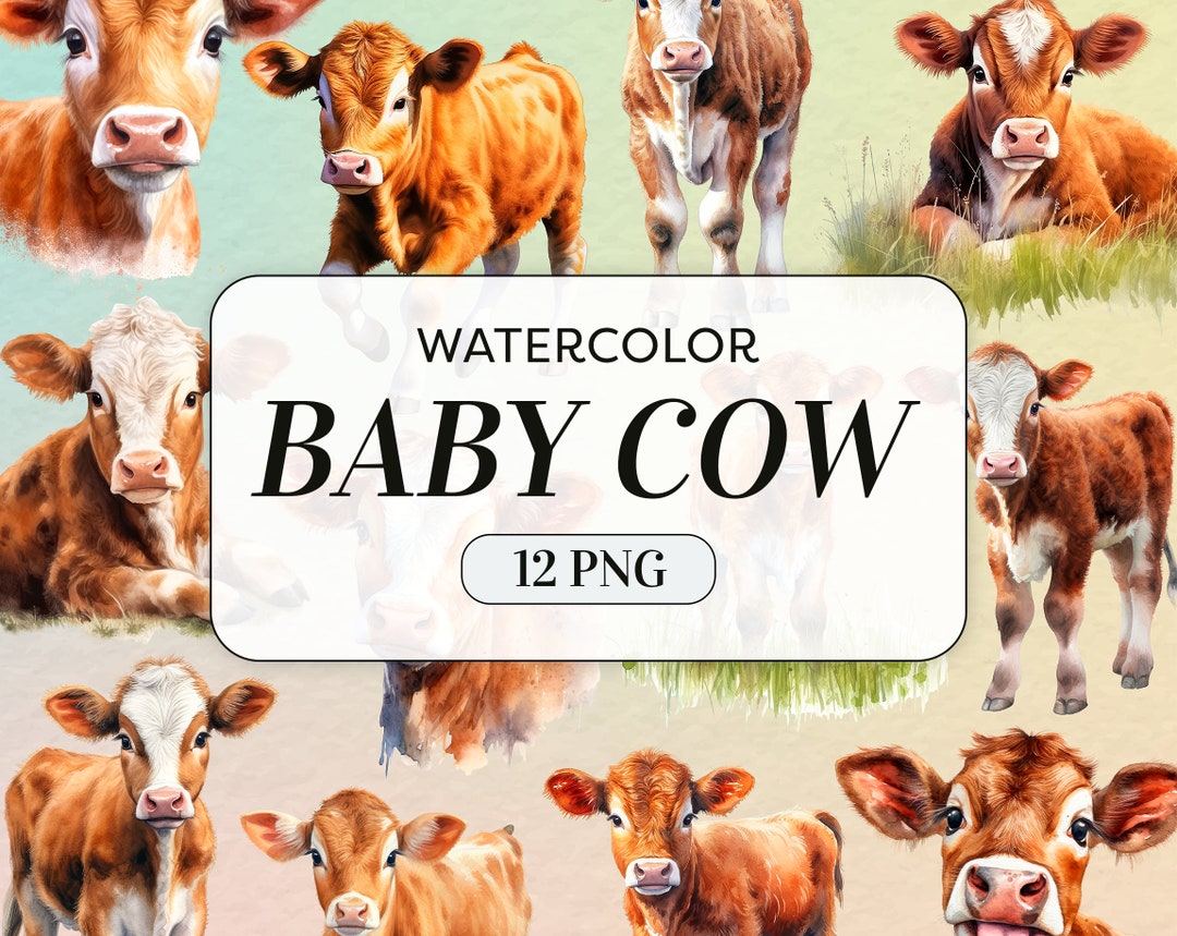 Watercolor Baby Cow Clipart - Cute Cow PNG - Commercial Use - Baby Farm ...