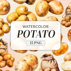 Clipart pomme de terre aquarelle - aquarelle de légumes PNG - usage commercial - Clipart pomme de terre féculents - Illustrations de pomme de terre - téléchargement numérique