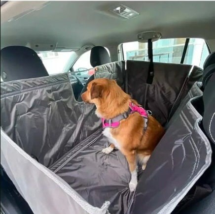 car hammock for dogs petsmart