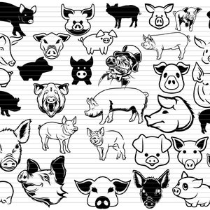 LOT SVG COCHON, tête de cochon, bébé cochon, visage de cochon, silhouette de cochon, cochon mignon, cochon svg, cochon assis, cochon en colère, clipart de cochon, porc svg, d683