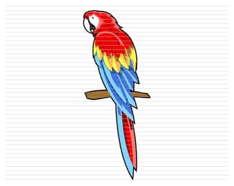 Parrot svg, color parrot, wild bird svg, parrot shirt, parrot clipart, parrot cricut file, parrot layer file, parrot face, parrot file, d949