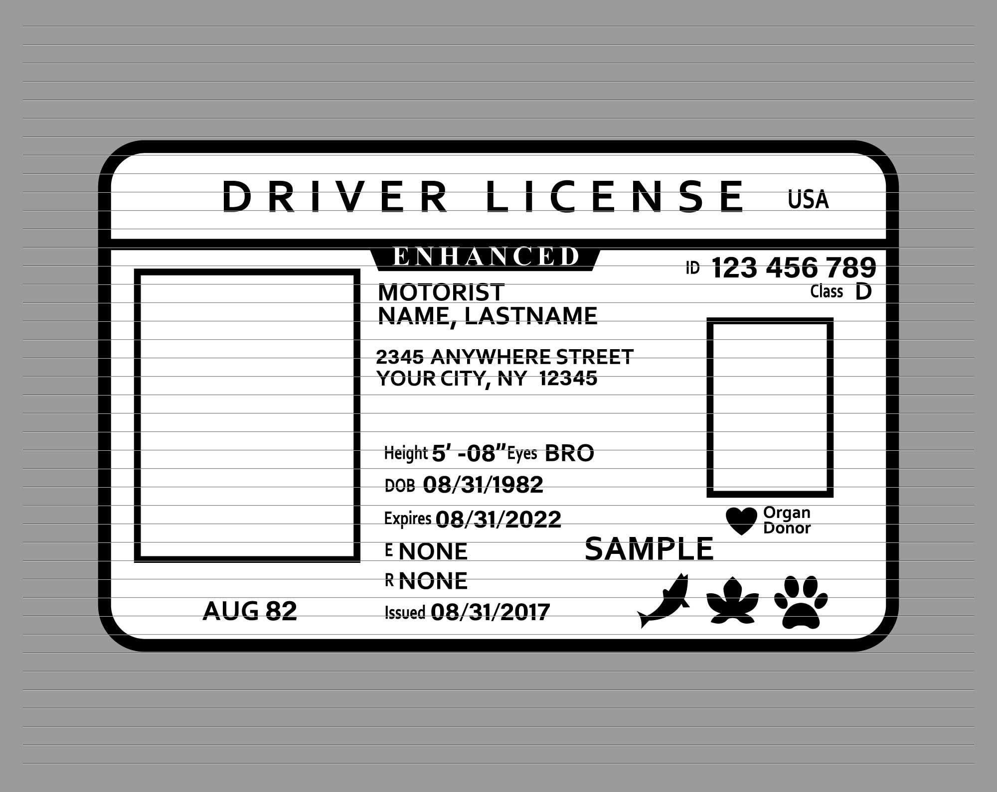 Buy Identification Card Hull Car License 3 Teilig 105 x 210 mm, PP 180my,  Document-Quality Online at desertcartINDIA