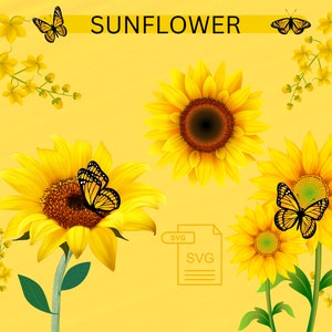 Paquete svg de girasol, paquete svg floral, imágenes prediseñadas florales, png de girasol, png floral, uso comercial, silueta, descarga digital, SVGPNG,
