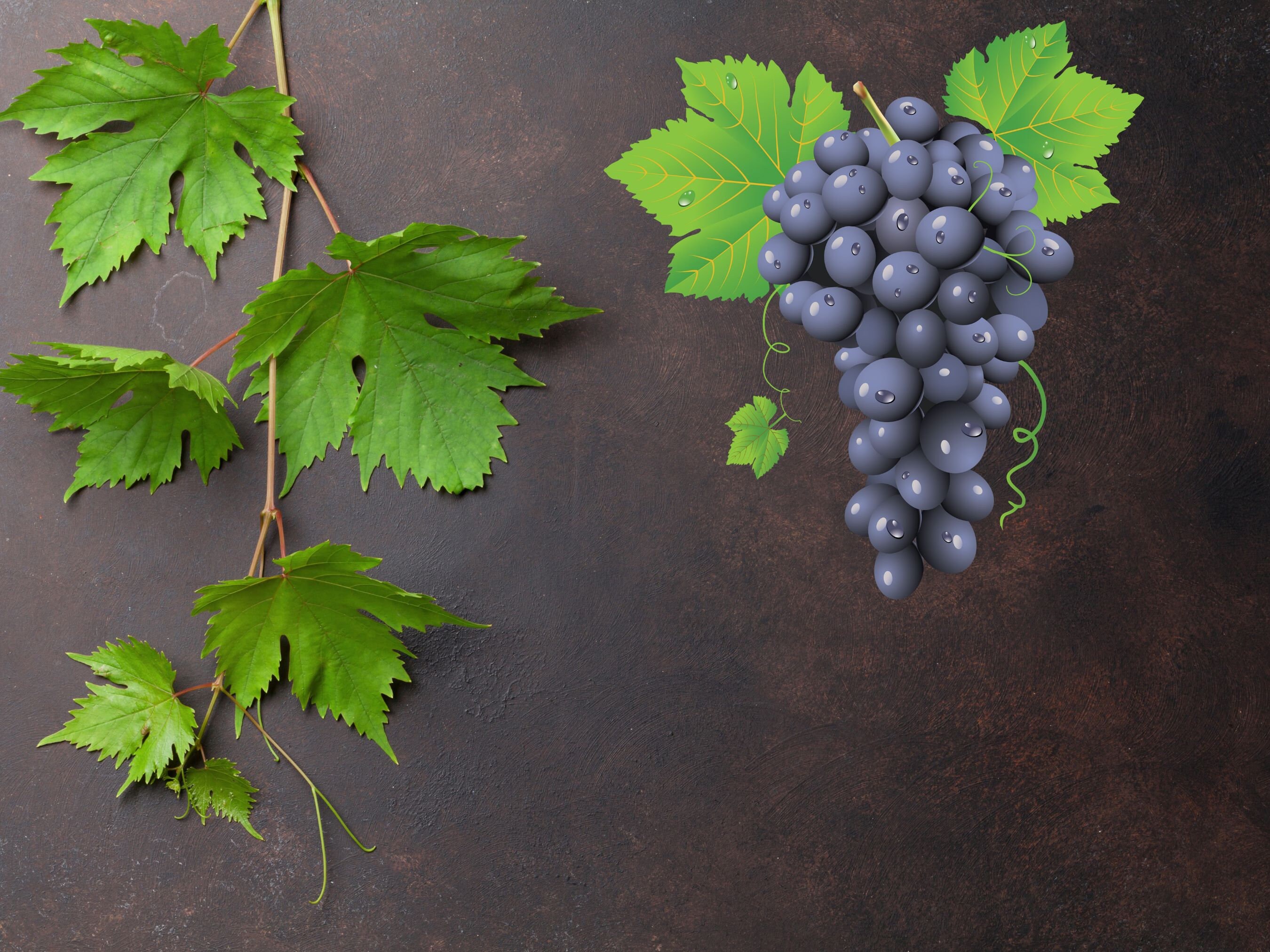 Fruit SVG Bundle, Ropical Fruit Svg,digital Download,fruit Cricut,fruit