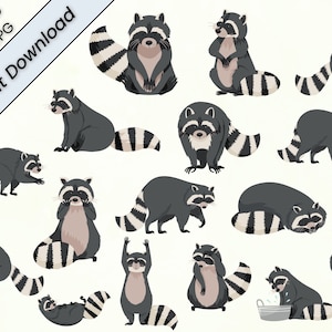 Raton laveur SVG, Clipart raton laveur, raton laveur coupe fichiers, Silhouette de raton laveur, adorable raton laveur svg, Cricut Animal, téléchargement immédiat