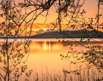 Lough Lene Sunset Print: County Westmeath, Ireland Landscape Photography
