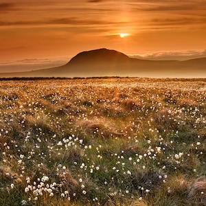 Slemish Mountain, Irish Landscape, Irish Wall Art, Northern Ireland, St Patricks Day, Irish Wall Decor, Irish Countryside, Rural Ireland