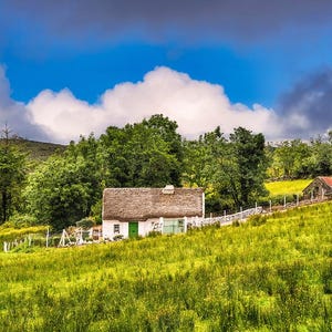 May include: A white cottage with a thatched roof sits on a grassy hillside in a rural setting. The cottage has a green door and windows, and there are trees and bushes surrounding it. The sky is blue with white clouds.