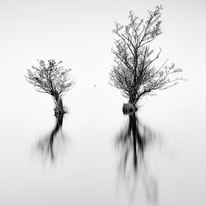 Impression noir et blanc paysage irlandais, comté de Lough Neagh d&#39;Antrim, art mural photographie minimaliste fabriqué en impression photo Irlande, idée cadeau irlandaise