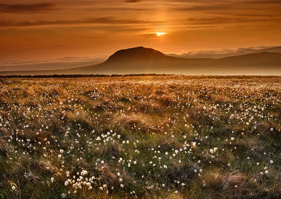 Slemish Mountain Sunset, Irish Landscape Print, Irish Wall Art