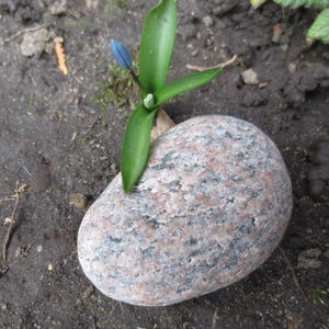 個人のモチベーションとインスピレーションのための儀式用お守り石