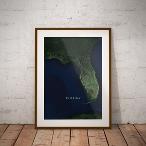 Floride — Image satellite de la carte des États-Unis Poster