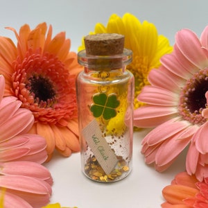 Mini Flaschenpost "Glücksbringer" - Geschenkidee Mama, Papa, Partner, Partnerin, Freunde - Geburtstag, Jahrestag, Ostern - Personalisierbar