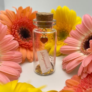 Mini Flaschenpost "Herz" - Geschenk für Geburtstag, Jahrestag, Ostern oder Hochzeit für Sie und Ihn - Freund & Freundin - Personalisierbar