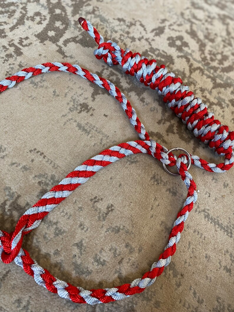 Cattle Rope Halter - Etsy