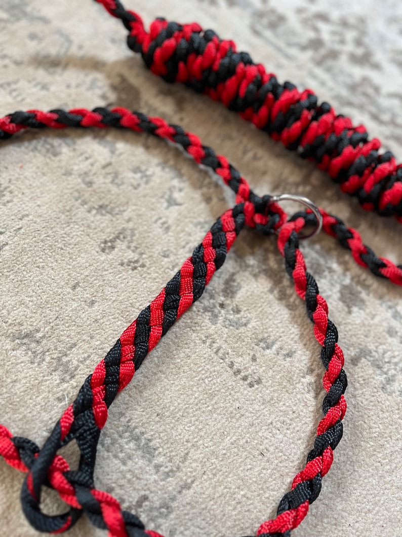 Cattle Rope Halter - Etsy