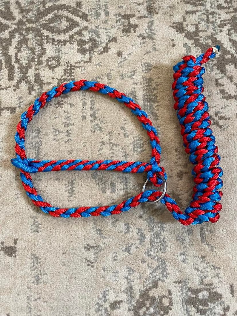Cattle Rope Halter - Etsy