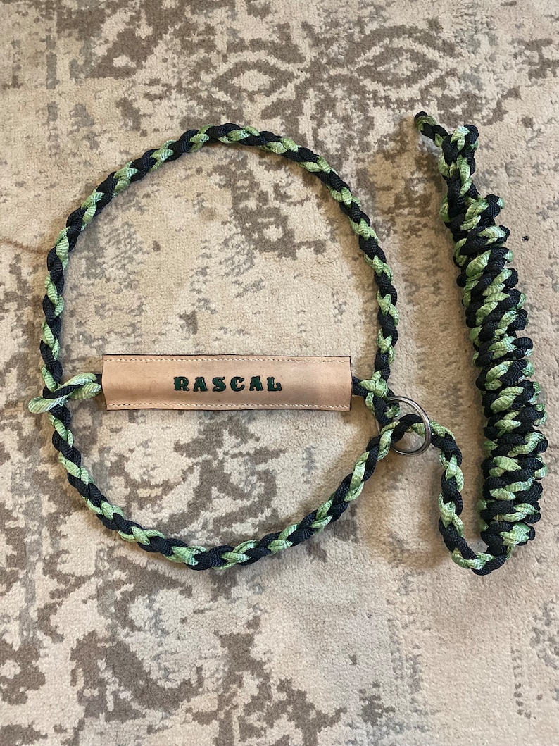 Cattle Halter With Name - Etsy