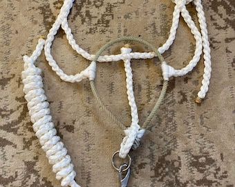 Op maat gemaakt halster met riemclip