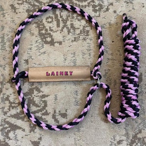 Cattle Halter With Name