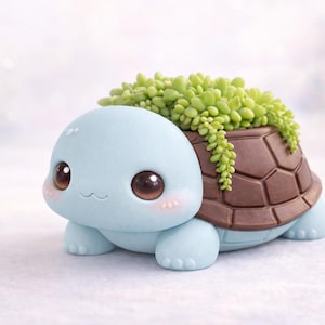May include: A light blue turtle-shaped planter with a brown shell, holding a green succulent plant. The turtle has large brown eyes and rosy cheeks. A charming decorative item for home decor.