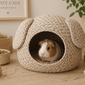 May include: A beige, braided, dome-shaped small pet hideout with two rounded side flaps resembling ears. A brown and white guinea pig is positioned inside the circular opening of the structure, which is filled with light-colored bedding material.