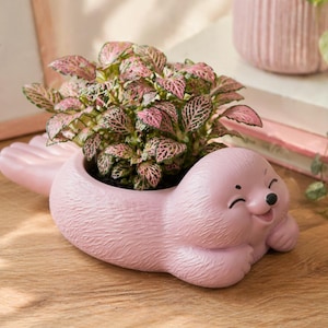 May include: A pink ceramic seal-shaped planter holding a plant with pink and green leaves. The planter has a smiling face and is resting on a wooden surface. A framed picture with the text "good things grow here" is in the background.